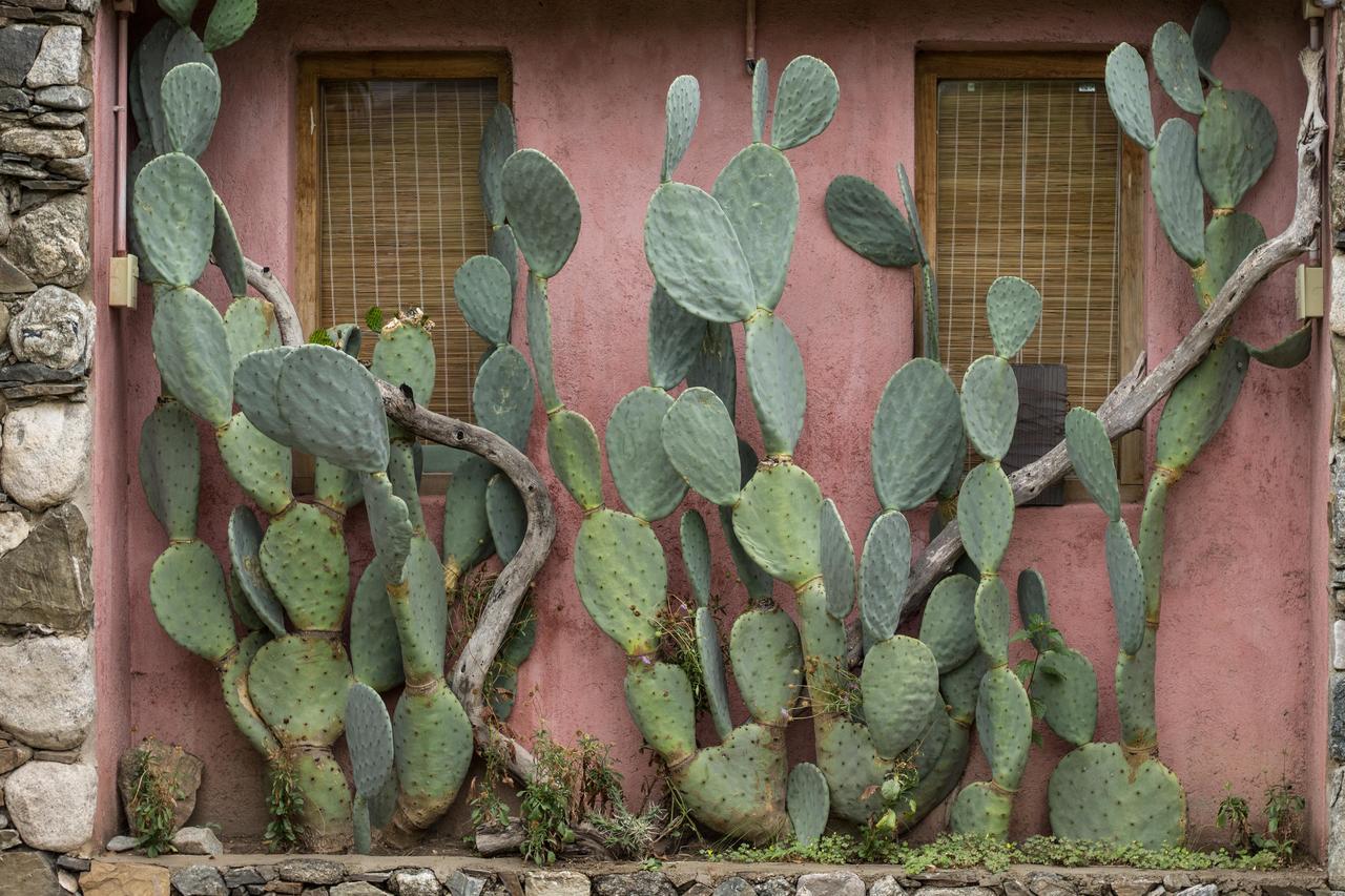 La Teresita Posada Hotel San Javier  Luaran gambar